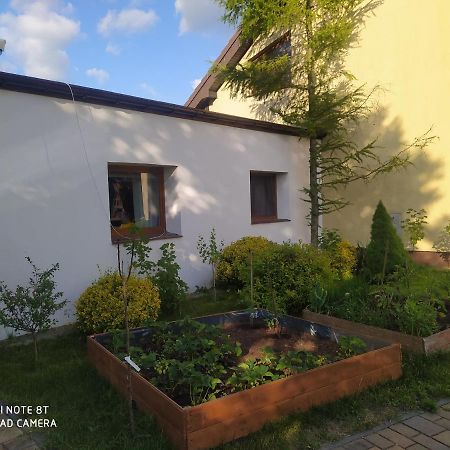 Apartament Gniezno - Mnichowo Eksteriør billede